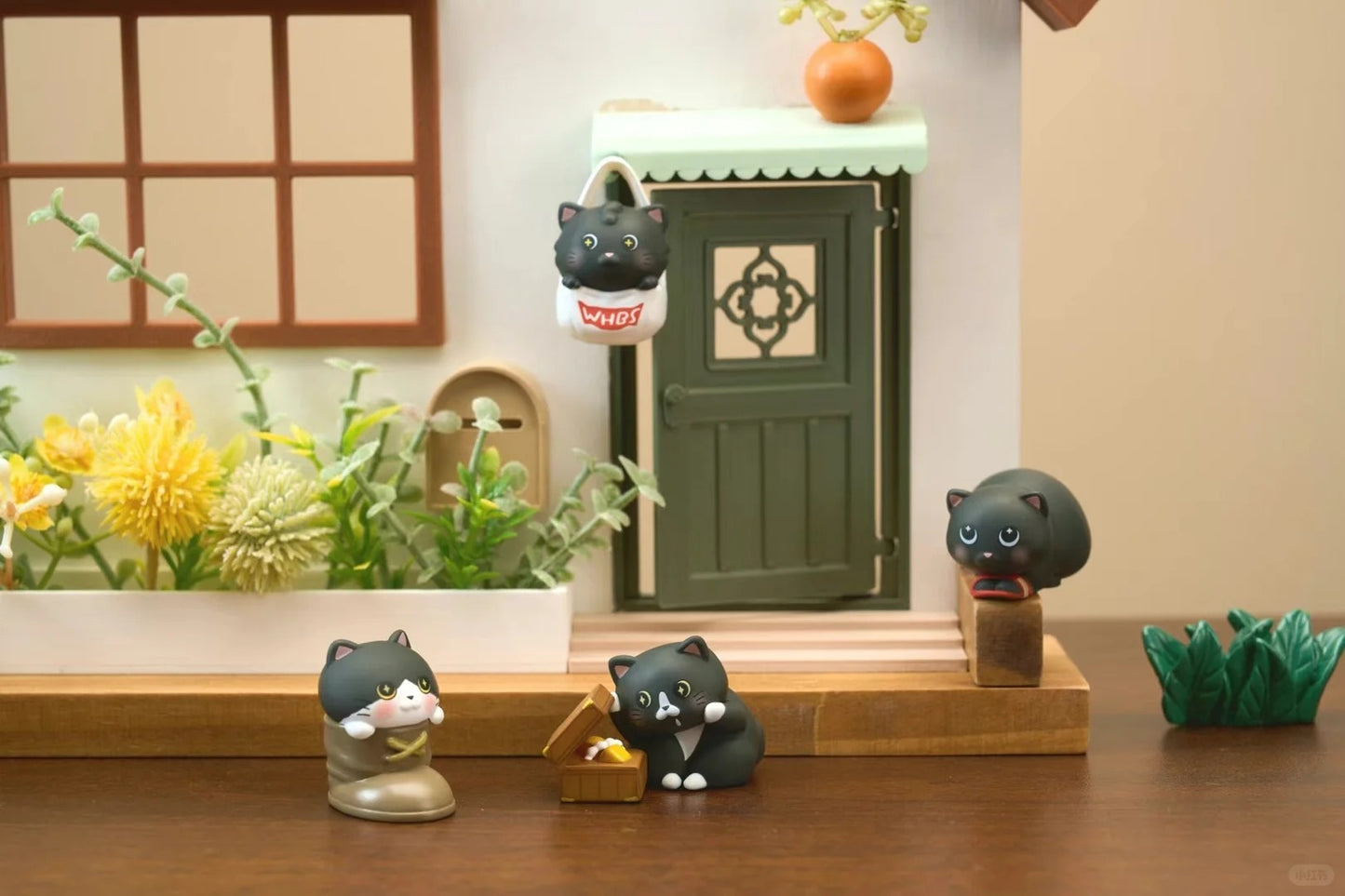 Curious Play Cat Diary Series