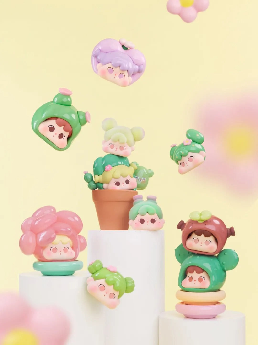 MINI FACE Succulents Story